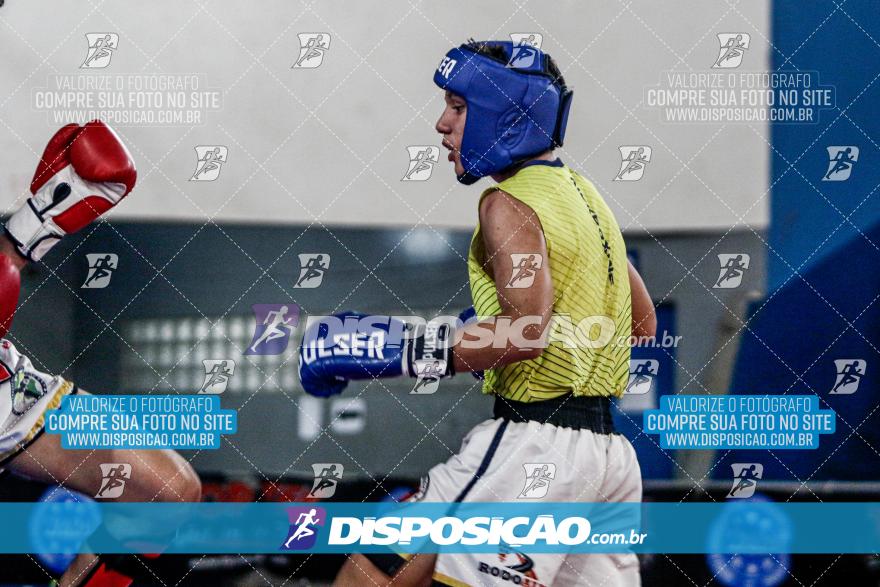 24º Campeonato Paranaense de Kickboxing