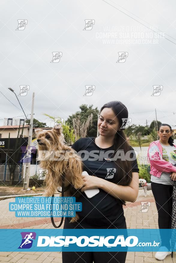 Circuito de Corridas Sanepar 2024