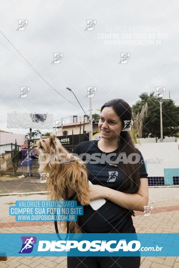 Circuito de Corridas Sanepar 2024