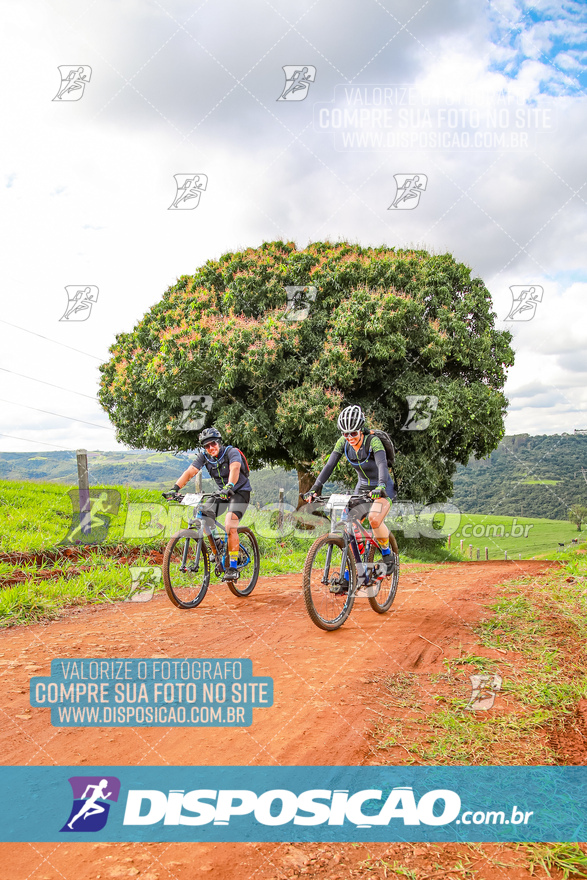 Rota das Catedrais 2024