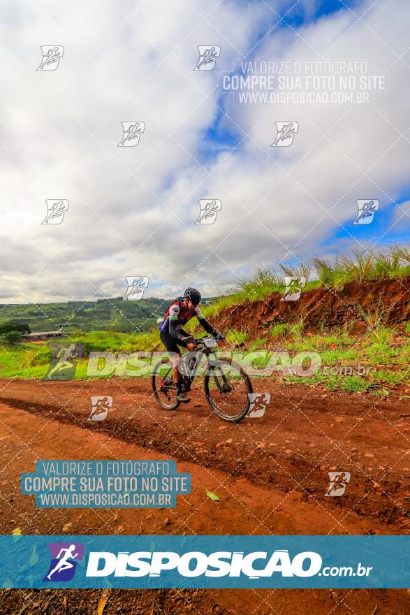 Rota das Catedrais 2024