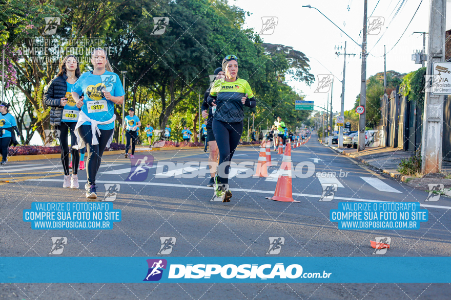 2ª (AMP) Run 