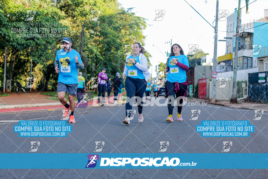 2ª (AMP) Run 