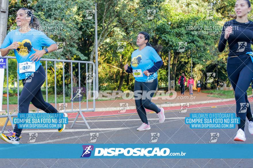 2ª (AMP) Run 