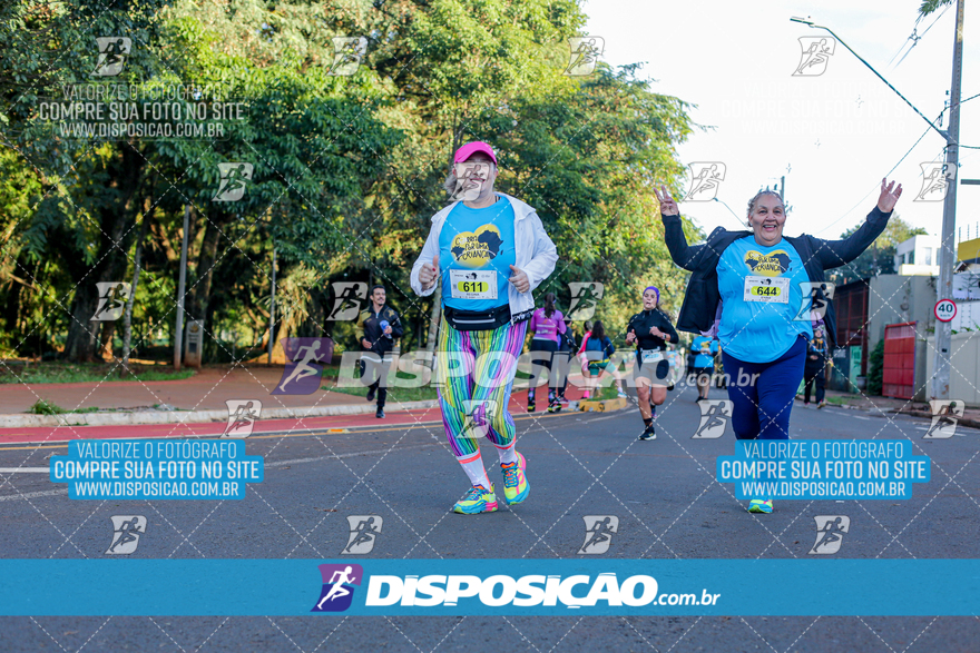 2ª (AMP) Run 