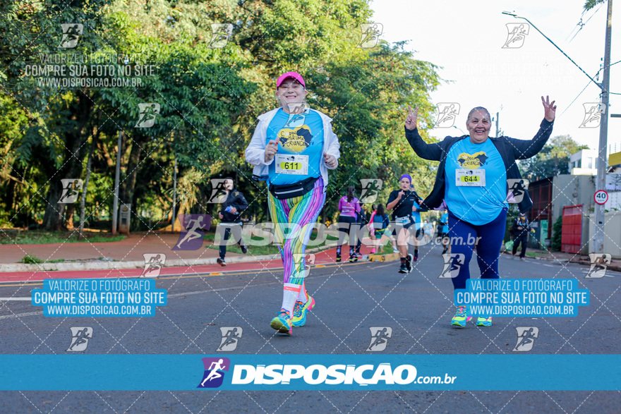 2ª (AMP) Run 