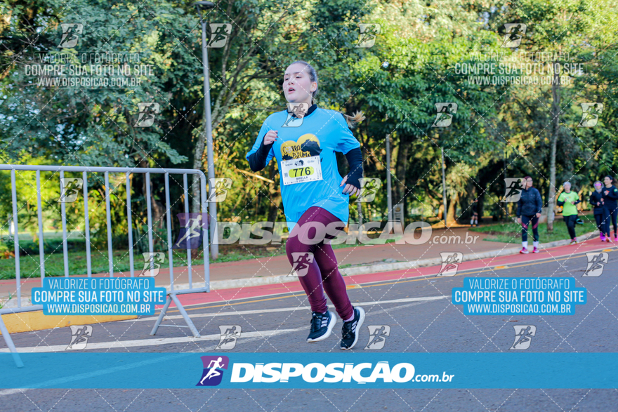 2ª (AMP) Run 