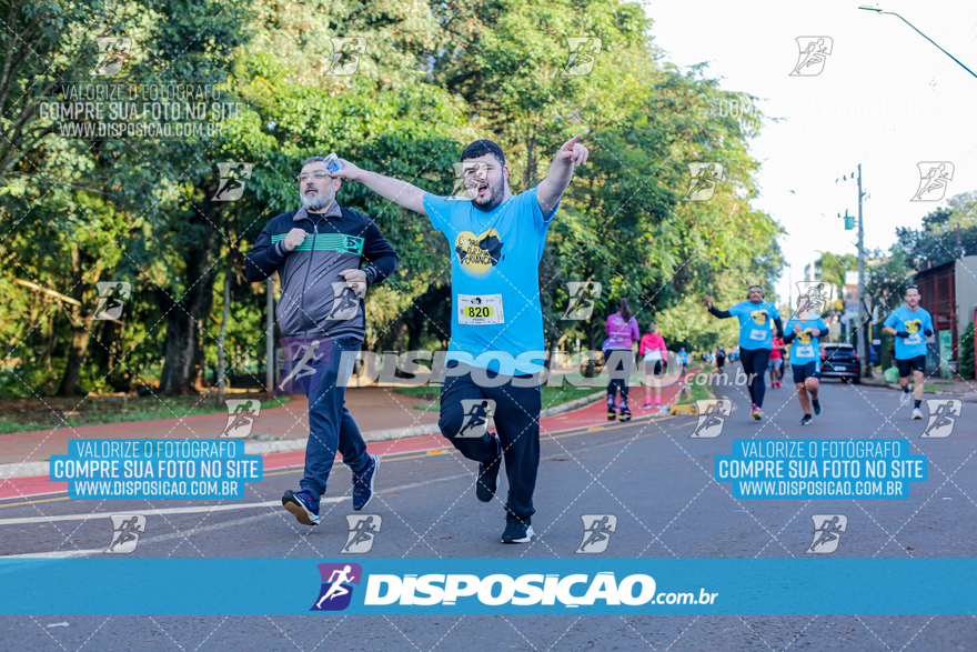 2ª (AMP) Run 