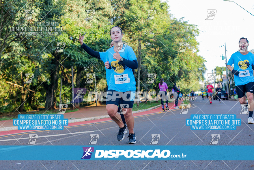 2ª (AMP) Run 