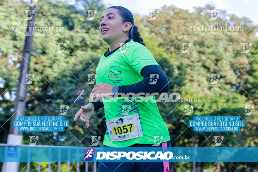 2ª (AMP) Run 