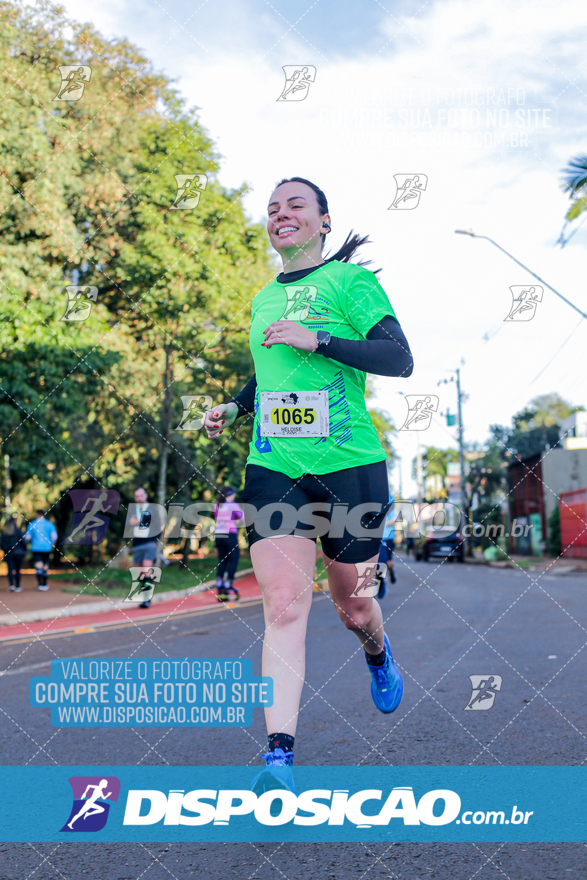 2ª (AMP) Run 