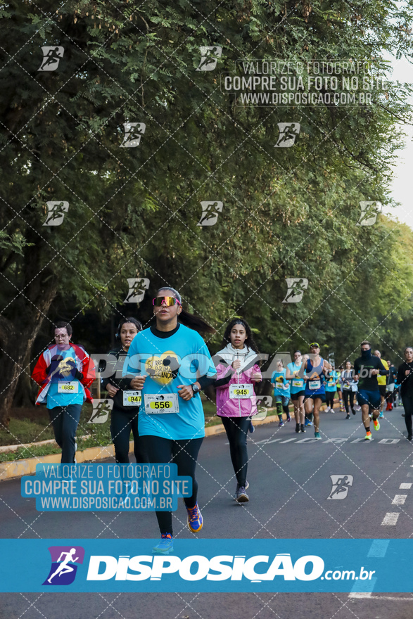 2ª (AMP) Run 