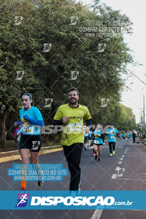 2ª (AMP) Run 