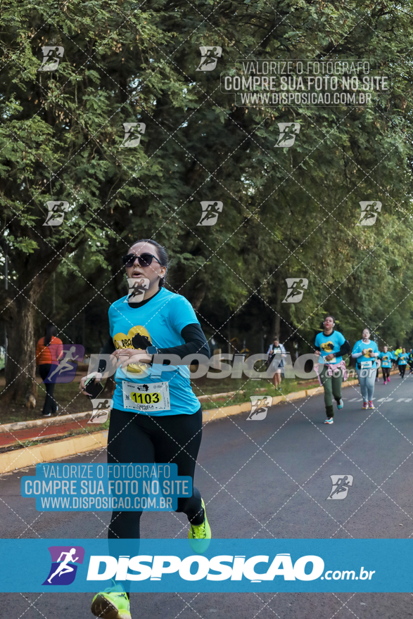 2ª (AMP) Run 