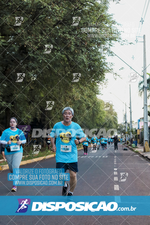 2ª (AMP) Run 