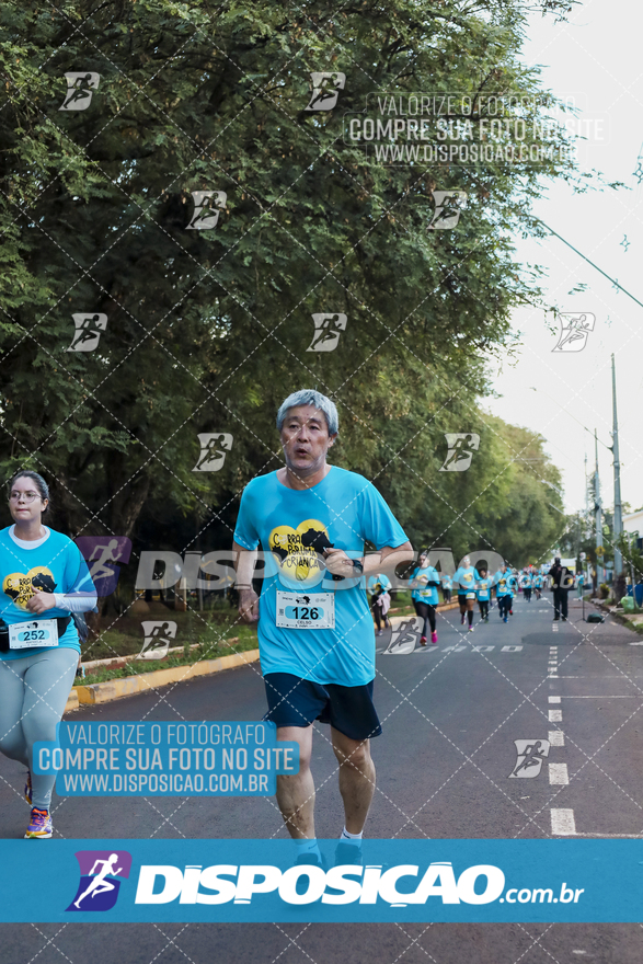 2ª (AMP) Run 