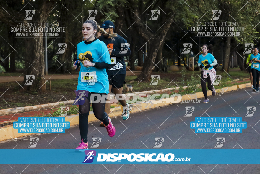 2ª (AMP) Run 