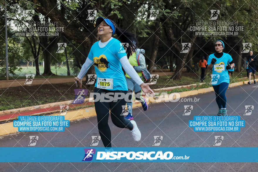 2ª (AMP) Run 