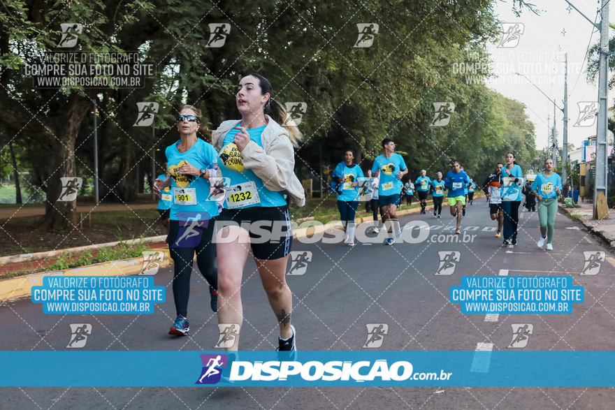 2ª (AMP) Run 