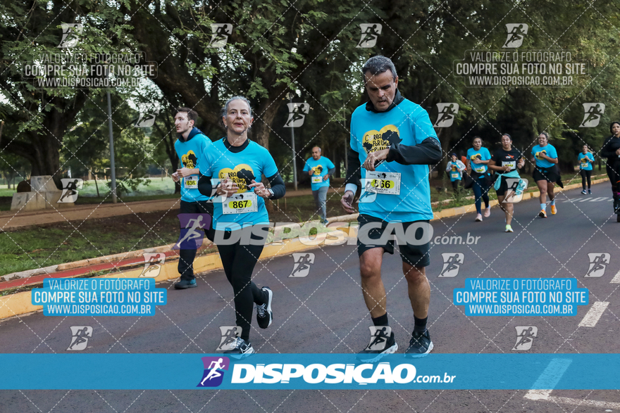 2ª (AMP) Run 