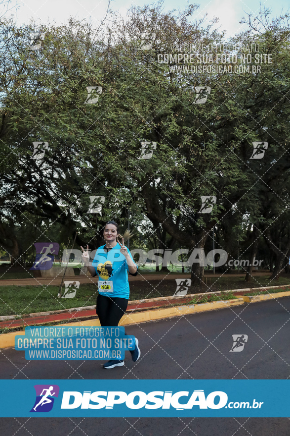 2ª (AMP) Run 