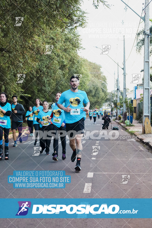 2ª (AMP) Run 