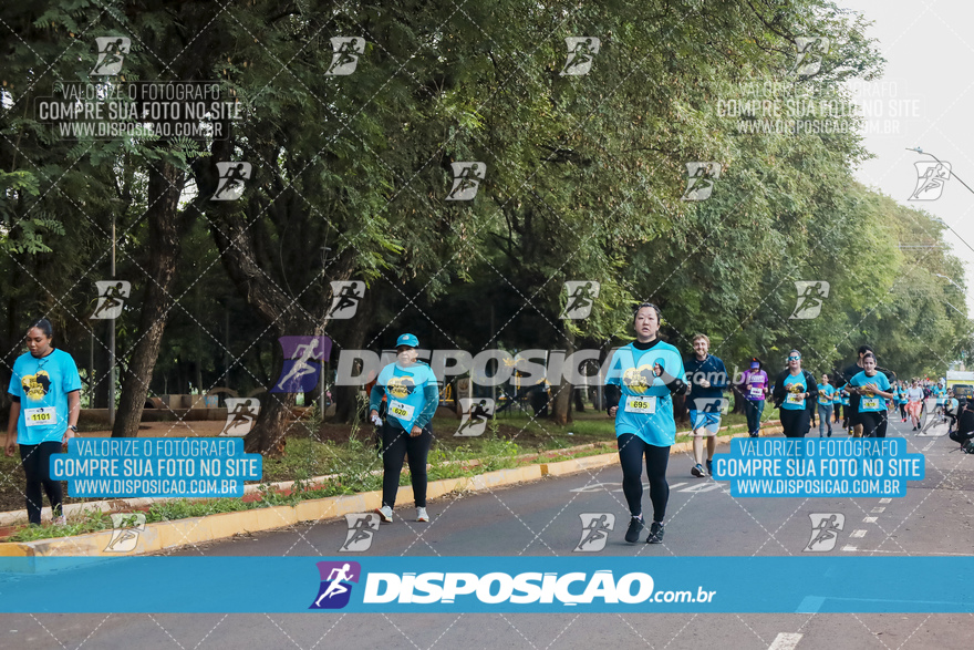 2ª (AMP) Run 