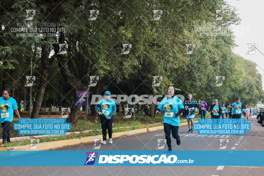 2ª (AMP) Run 