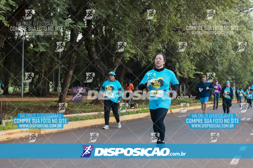 2ª (AMP) Run 