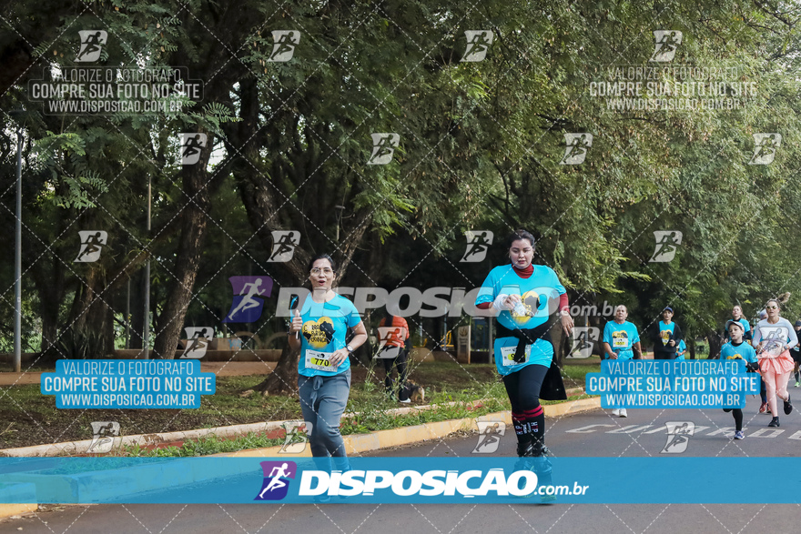 2ª (AMP) Run 