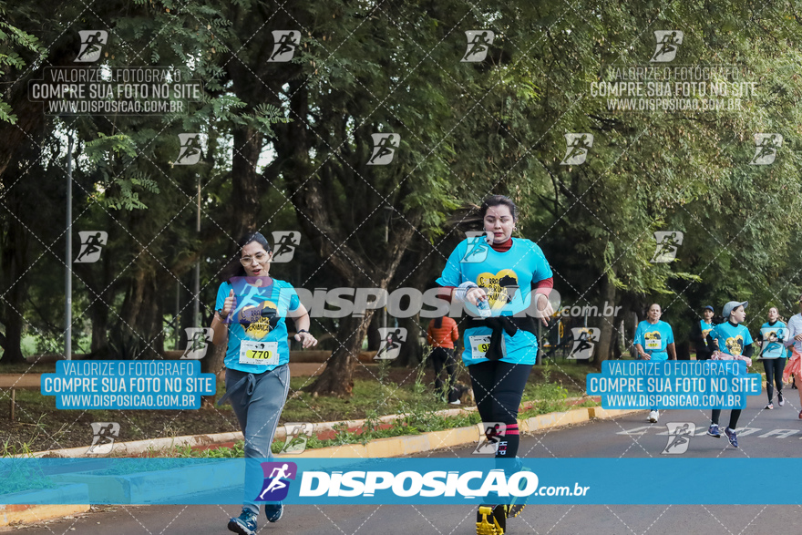 2ª (AMP) Run 