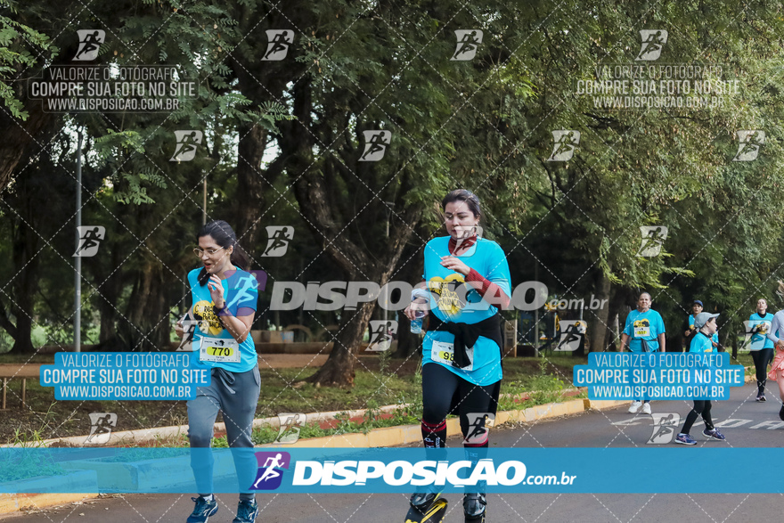 2ª (AMP) Run 