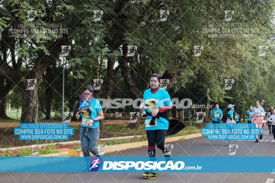 2ª (AMP) Run 