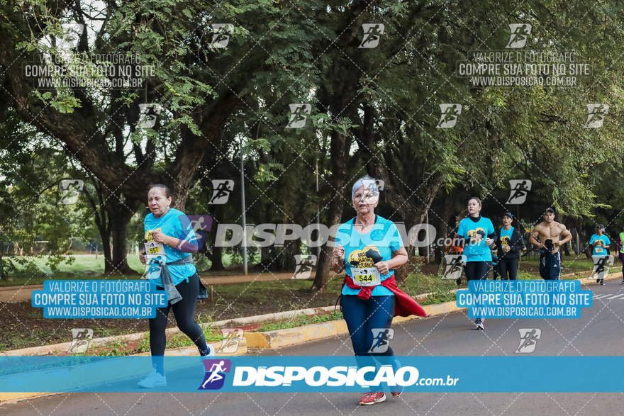 2ª (AMP) Run 