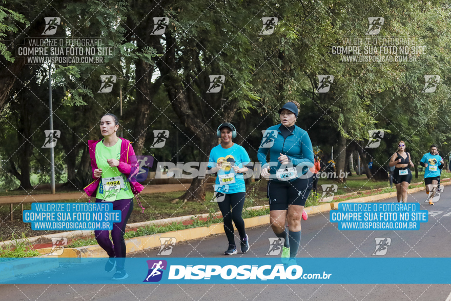 2ª (AMP) Run 