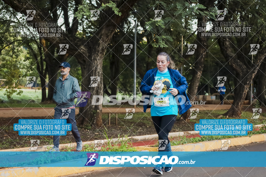 2ª (AMP) Run 