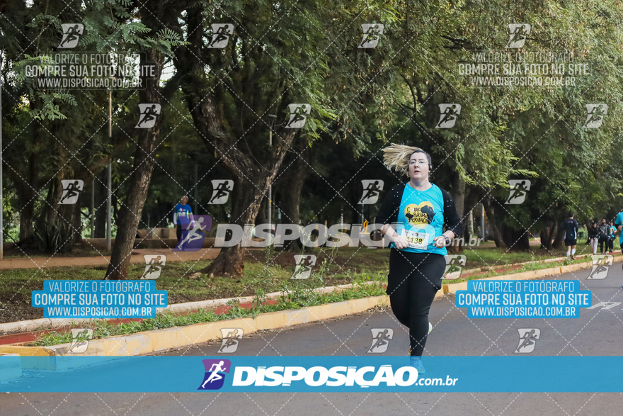 2ª (AMP) Run 