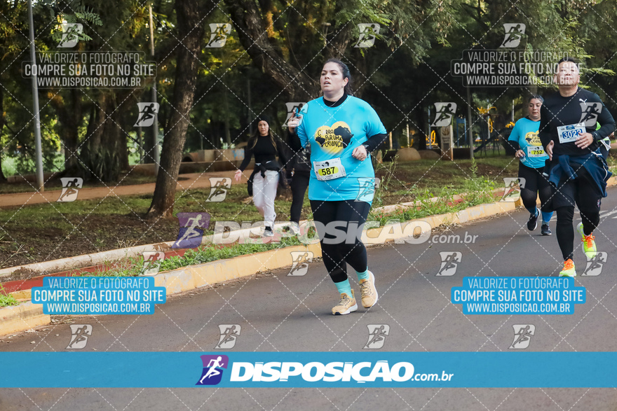 2ª (AMP) Run 