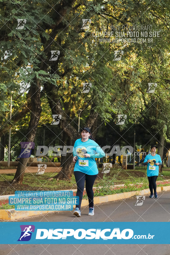 2ª (AMP) Run 