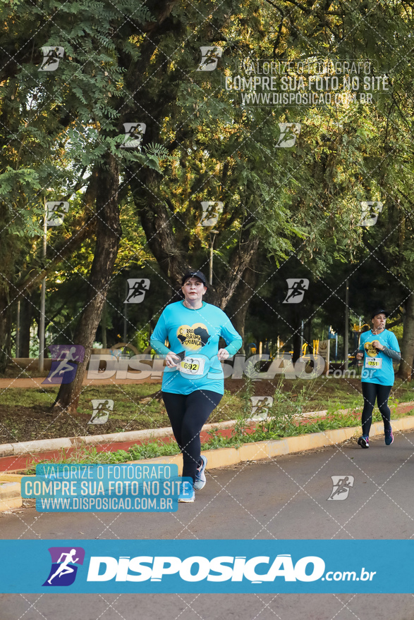 2ª (AMP) Run 