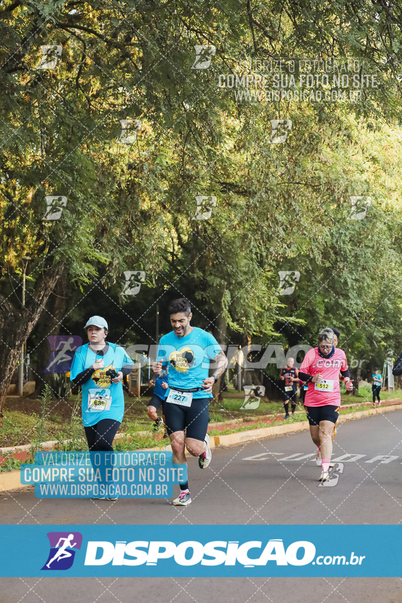 2ª (AMP) Run 