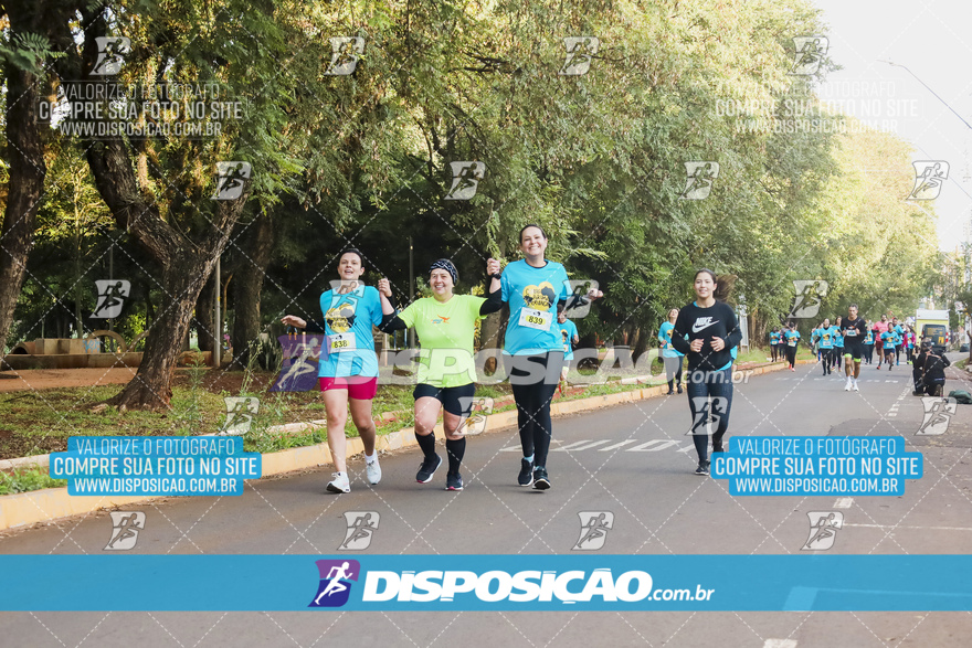 2ª (AMP) Run 