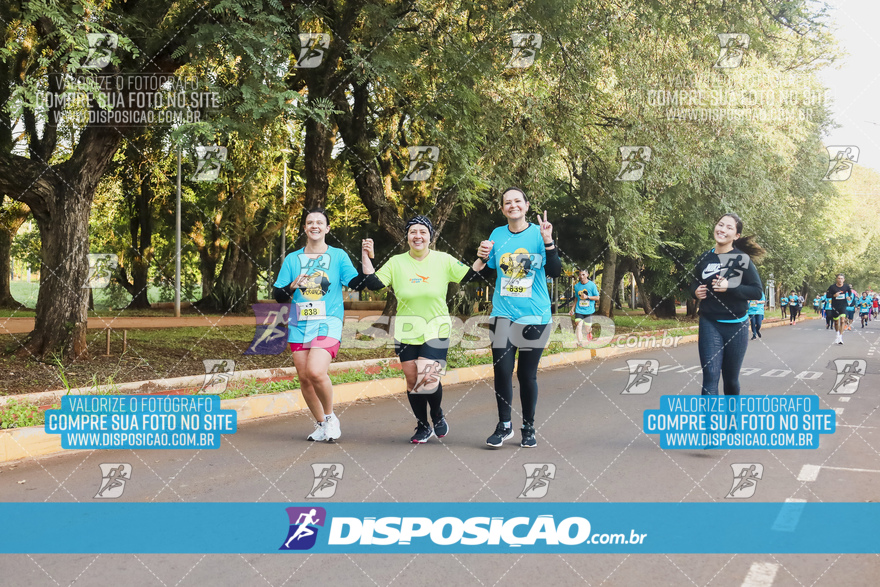 2ª (AMP) Run 