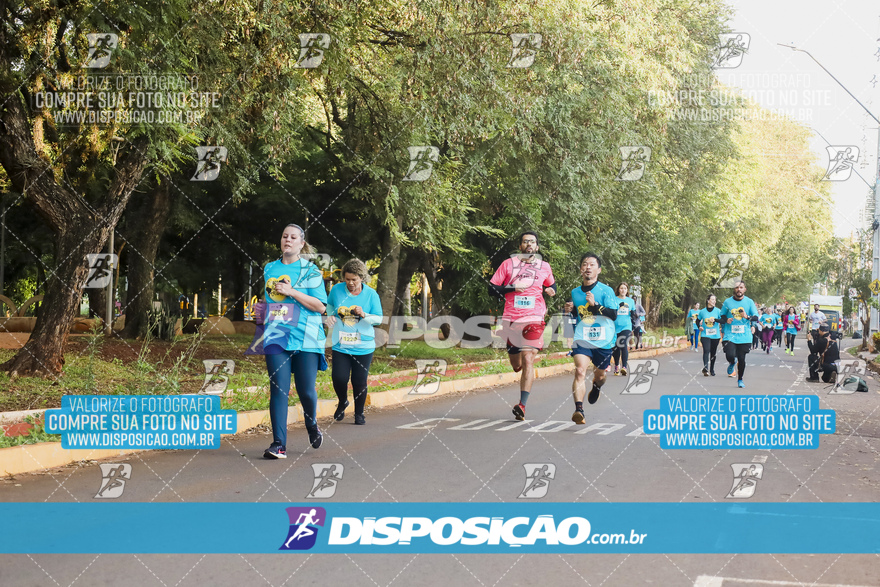 2ª (AMP) Run 