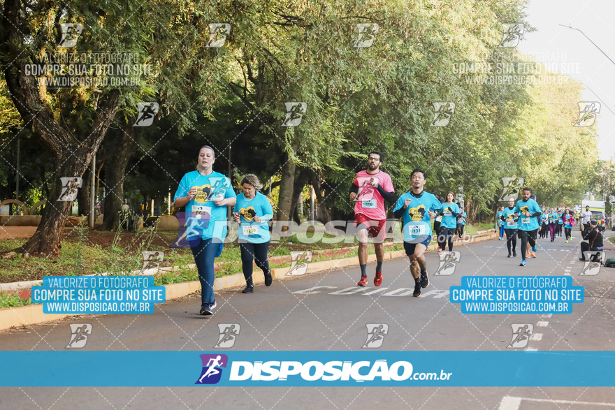 2ª (AMP) Run 