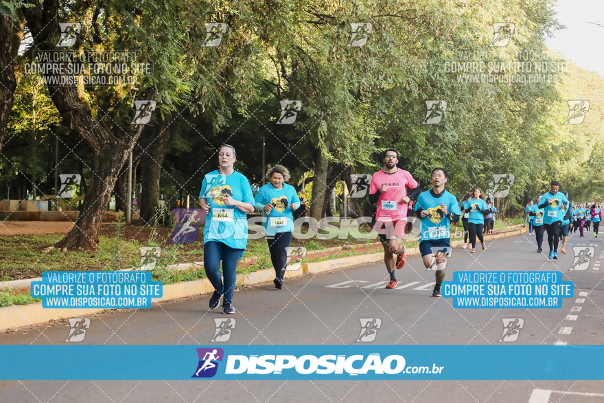 2ª (AMP) Run 