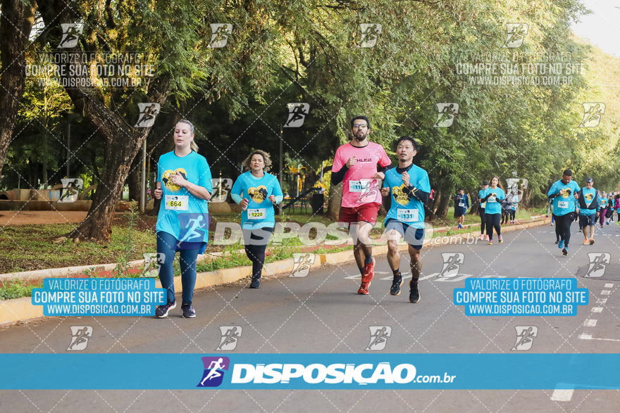 2ª (AMP) Run 