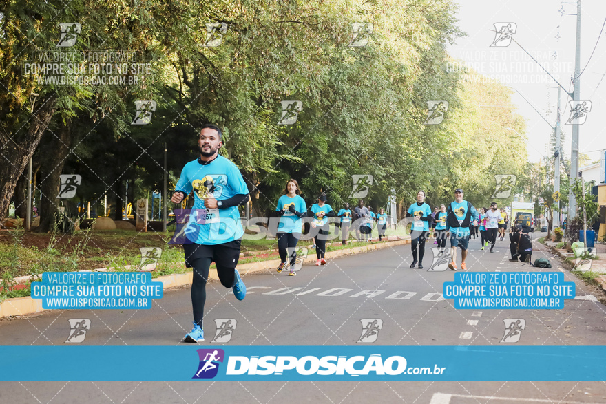 2ª (AMP) Run 