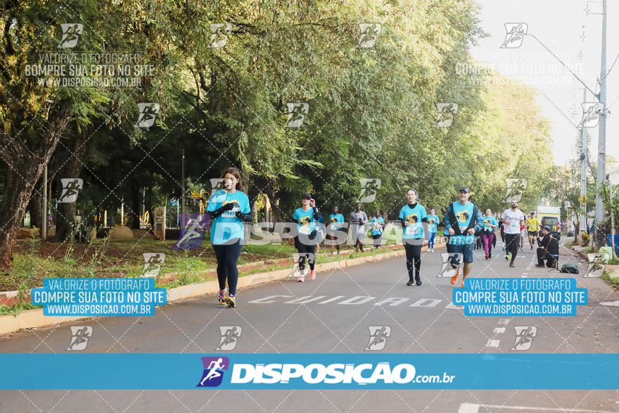 2ª (AMP) Run 