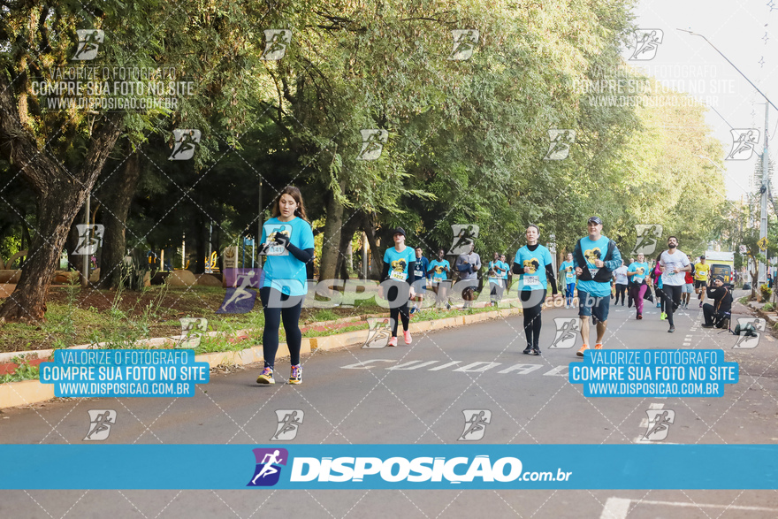 2ª (AMP) Run 